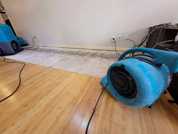 Professional Water Removal technician working in Lakeside, FL